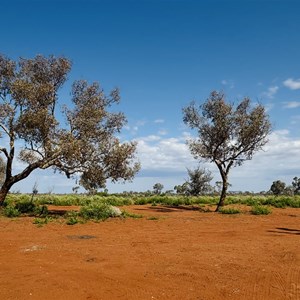 Minnie Creek Rest Area
