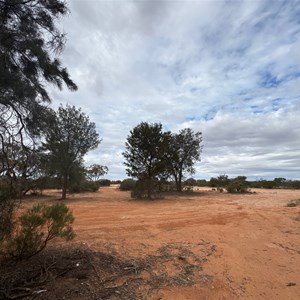 Bush Camp