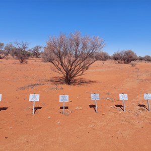 Lawlers Cemetery