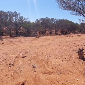 Poison Creek Camp