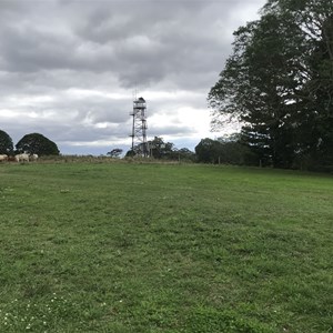 Salmon Lookout