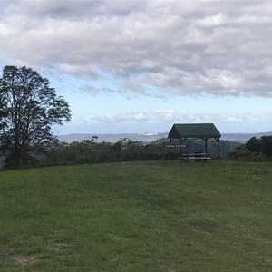 Salmon Lookout