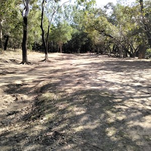 Mick Fienn Waterhole No5 Camp