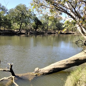Mick Fienn Waterhole No5 Camp