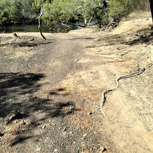 Mick Fienn Waterhole No5 Camp