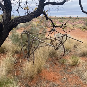 Murray Rankin’S Trolley