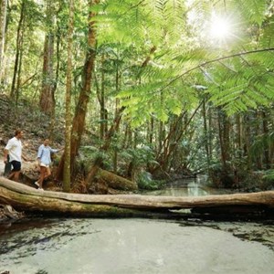 Central Station Campground