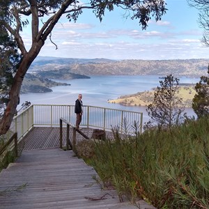 Elliotts Lookout