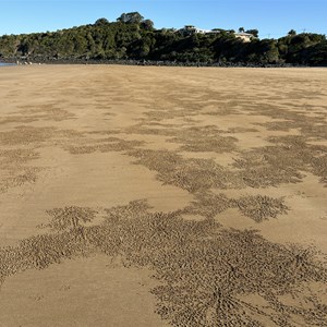 Sarina Beach