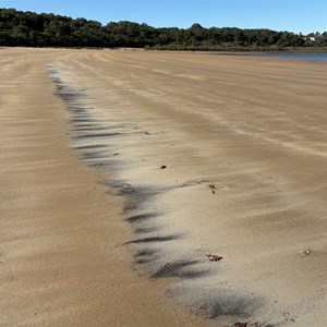 Grasstree Beach