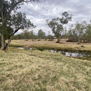 Camp On Finke R