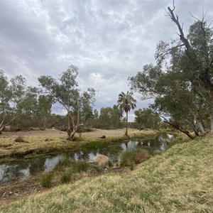 Camp On Finke R