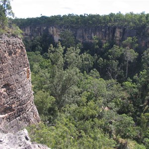 Heavily wooded gorge