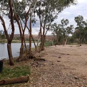 Nt Parks Boggy Hole Camping