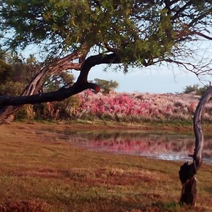 Wurarga Dam