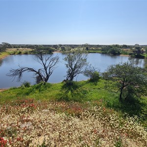 Wurarga Dam