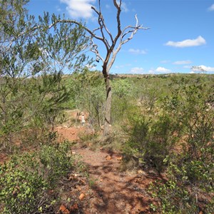 Track to pool