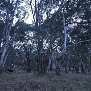 The Reef Reserve
