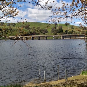 Carcoar Lake 