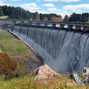 Carcoar Lake Dam Wall