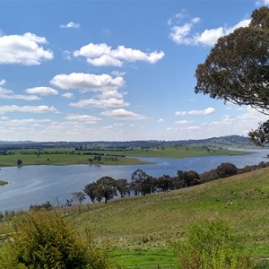 Carcoar Lake