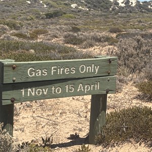 Dog Fence Beach Campground