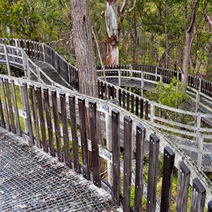 Dawsons Spring Nature Trail (NPWS)