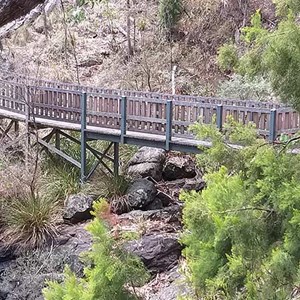 Dawsons Spring Nature Trail (NPWS)