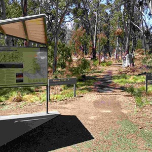 Dawsons Spring Nature Trail