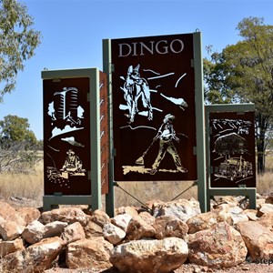 Dingo