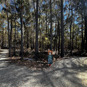 Flagstaff Trailhead MTB Area