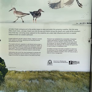 Jorndee Creek Campground