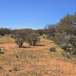 Boolgarbardoo Rockhole
