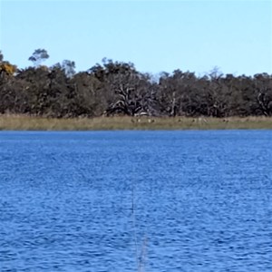Munkayarra Pool