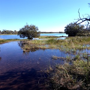 Munkayarra Pool