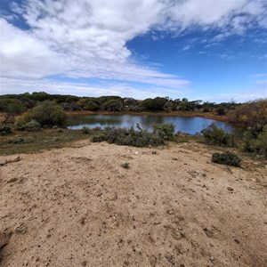 Dingo rockhole