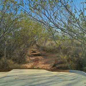 Shiddi Pool
