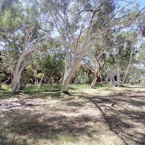 Durba Springs