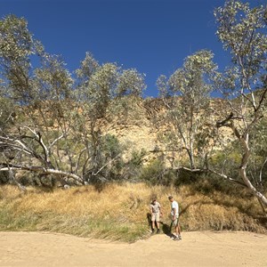 Bitter Springs