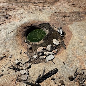 The Fountain Spring Gnamma Hole