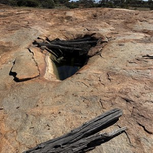 The Fountain Spring Gnamma Hole