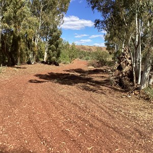 Weeli Wolli Spring