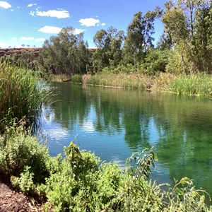 Weeli Wolli Spring