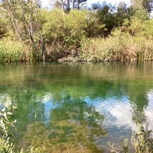 Weeli Wolli Spring