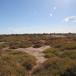 Track opposite well