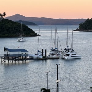 Shute Harbour