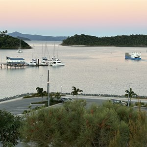 Shute Harbour