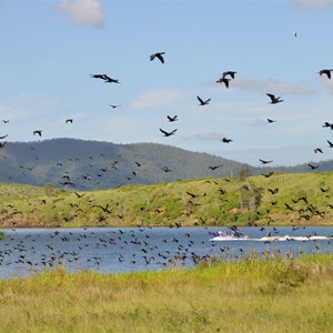 Somerset Dam,The Spit