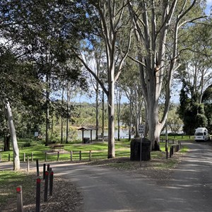Tiaro, Petrie Park