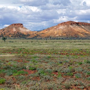 Mount Henderson